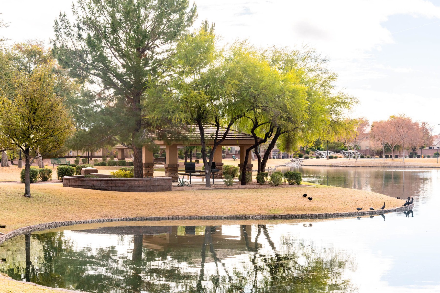 Arden Park, Chandler AZ - Neighborhood Guide | Trulia