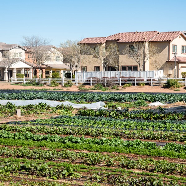 Agritopia, Gilbert AZ Neighborhood Guide Trulia