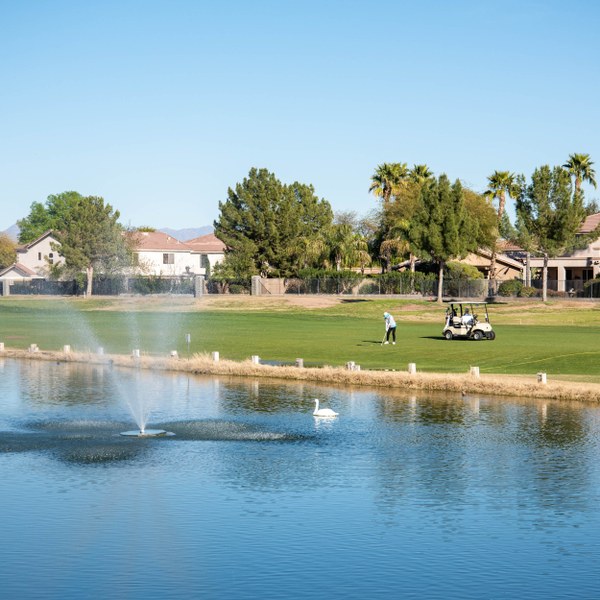 Greenfield Lakes, Gilbert AZ Neighborhood Guide Trulia