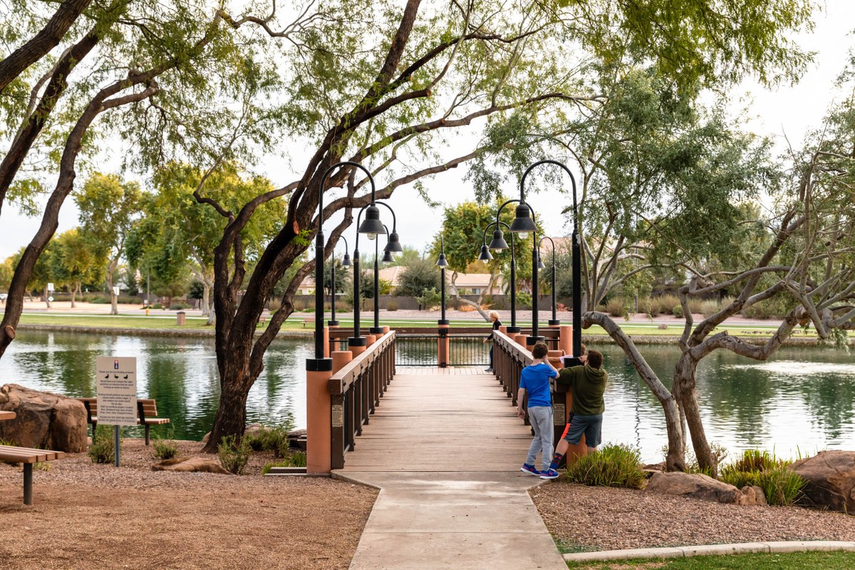 Power Ranch, Gilbert AZ Neighborhood Guide Trulia