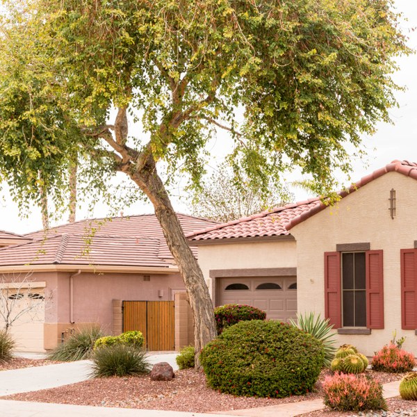 Tone Ranch, Gilbert AZ Neighborhood Guide Trulia