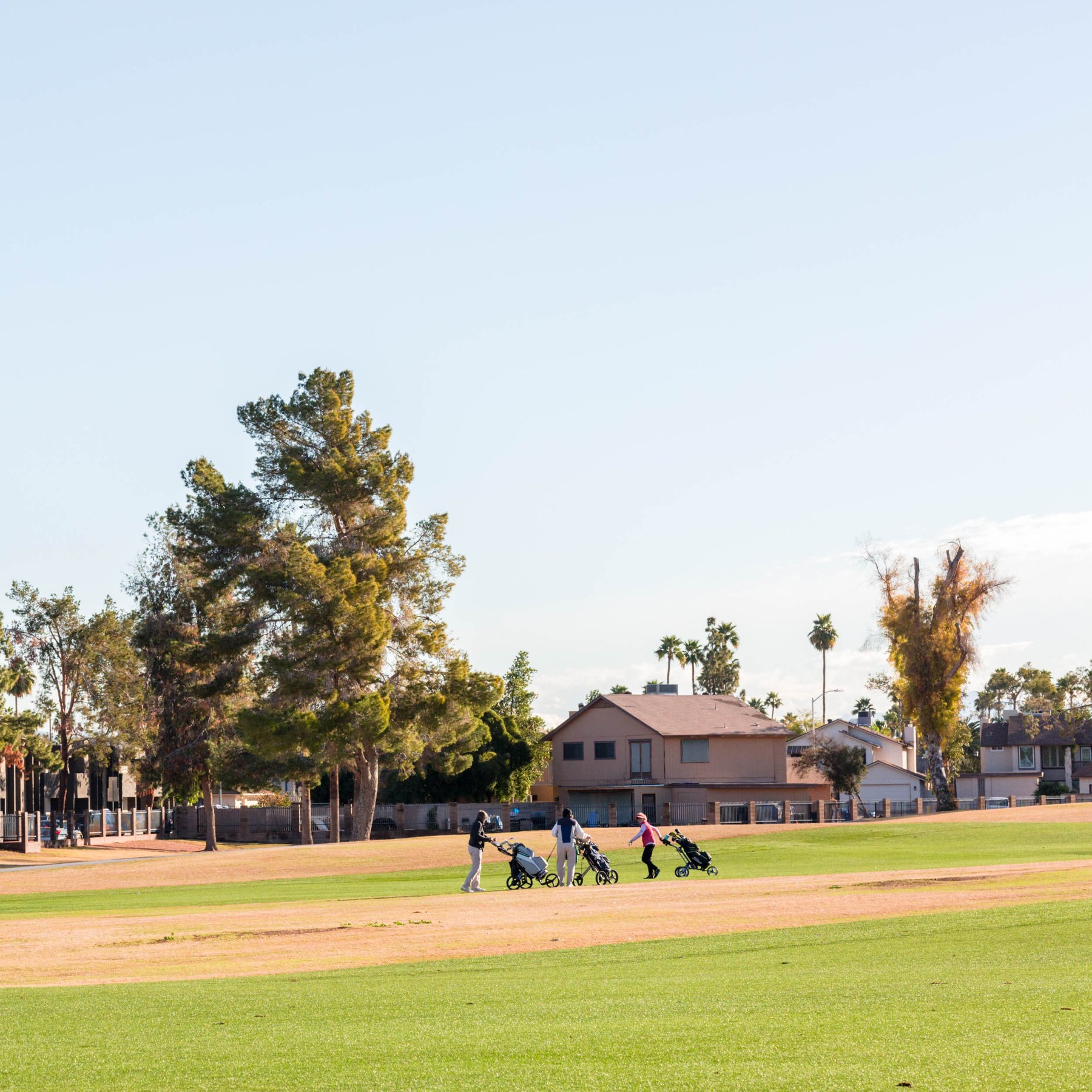 Dobson Ranch, Mesa AZ Neighborhood Guide Trulia