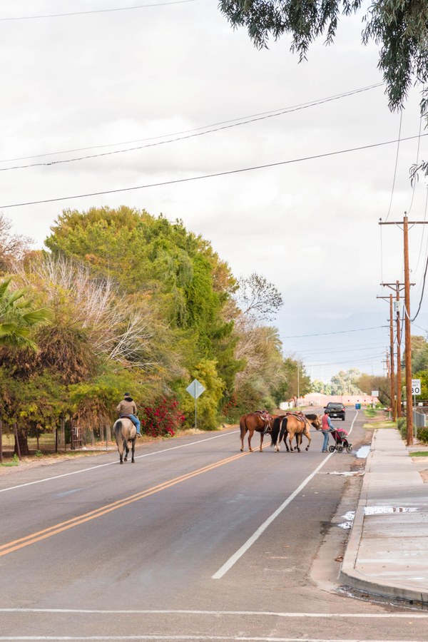 Lehi, Mesa AZ Neighborhood Guide Trulia