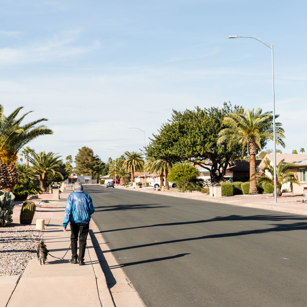 Sunland Village, Mesa AZ Neighborhood Guide Trulia