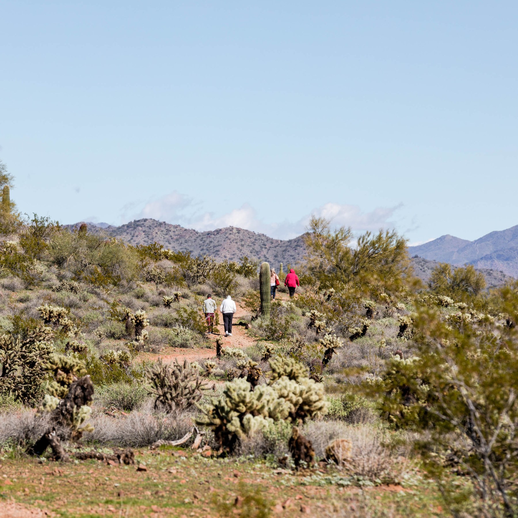 North Gateway, Phoenix AZ Neighborhood Guide Trulia