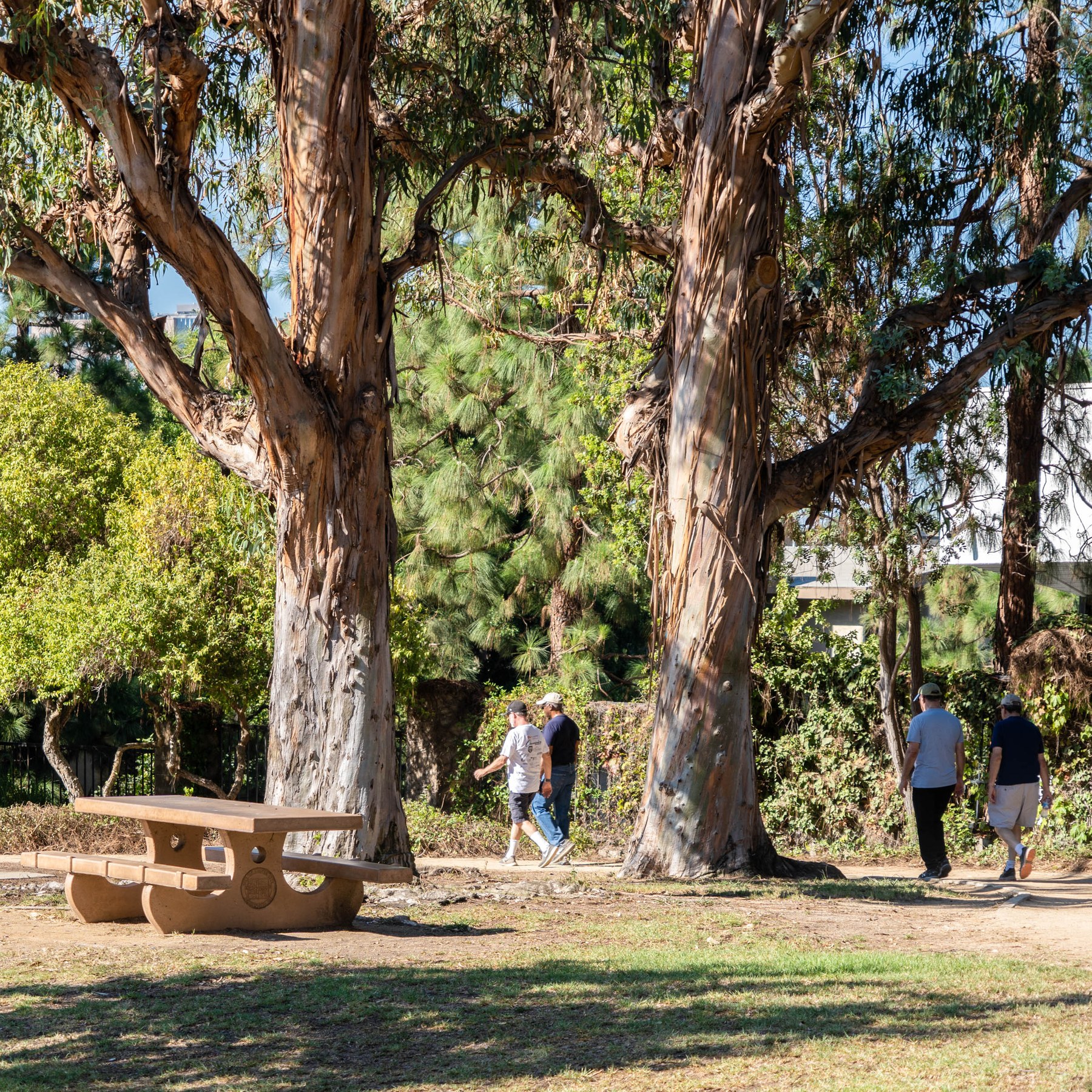 Fox Hills, Culver City CA Neighborhood Guide Trulia