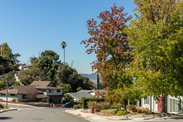 Street view in Verdugo Woodlands, ca