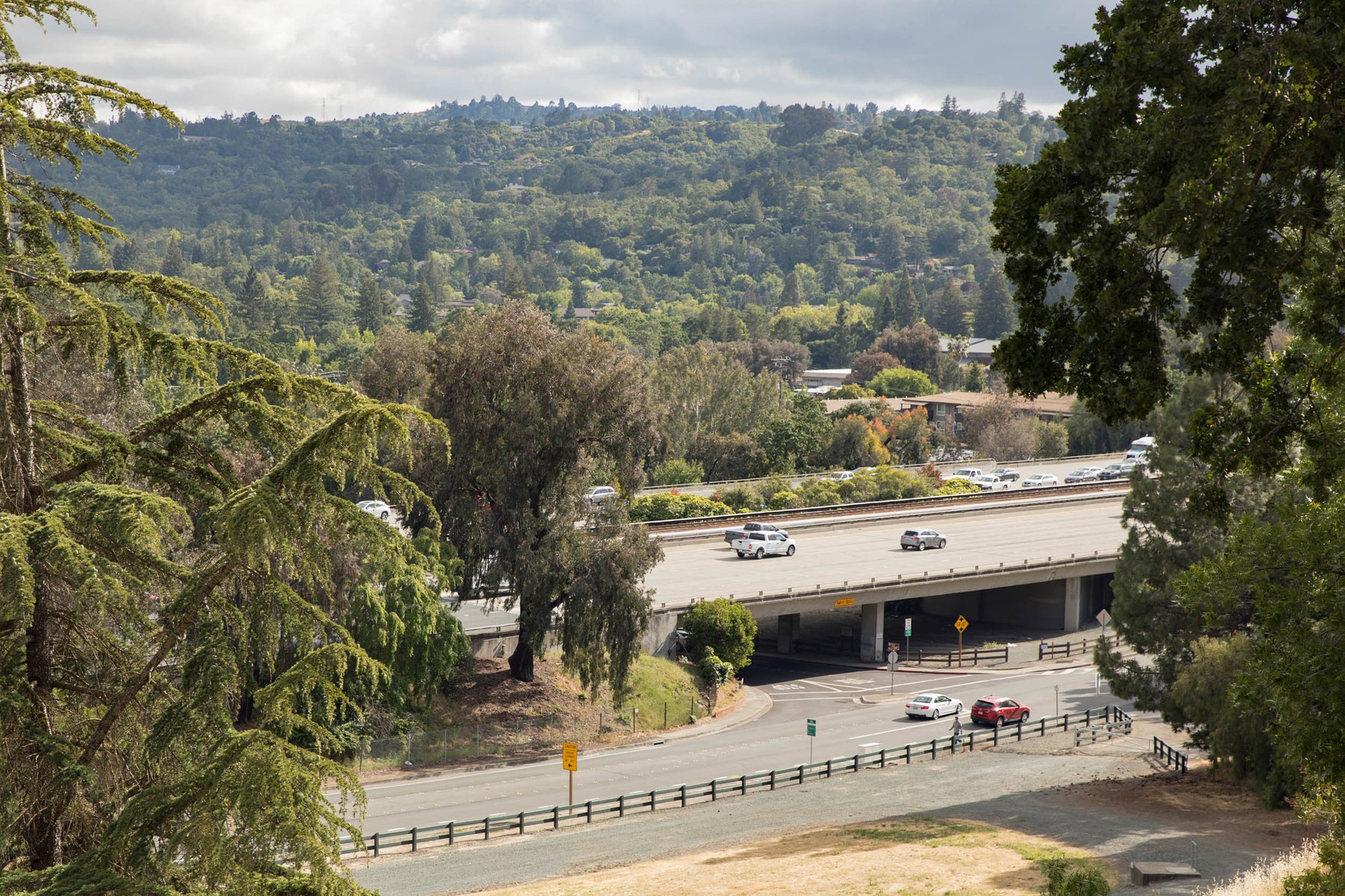 Brown Avenue, Lafayette CA Neighborhood Guide Trulia