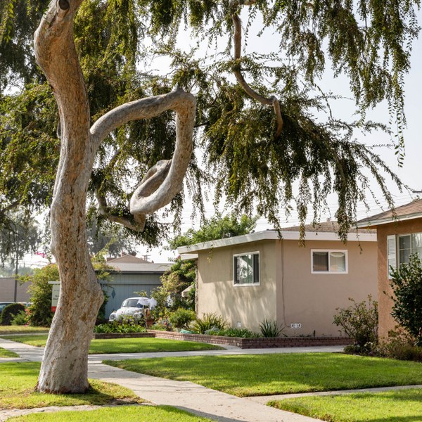 Los Altos, Long Beach CA Neighborhood Guide Trulia