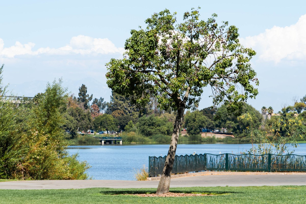 Harbor City Los Angeles Ca Neighborhood Guide Trulia