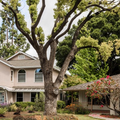 Crescent Park, Palo Alto CA - Neighborhood Guide Trulia