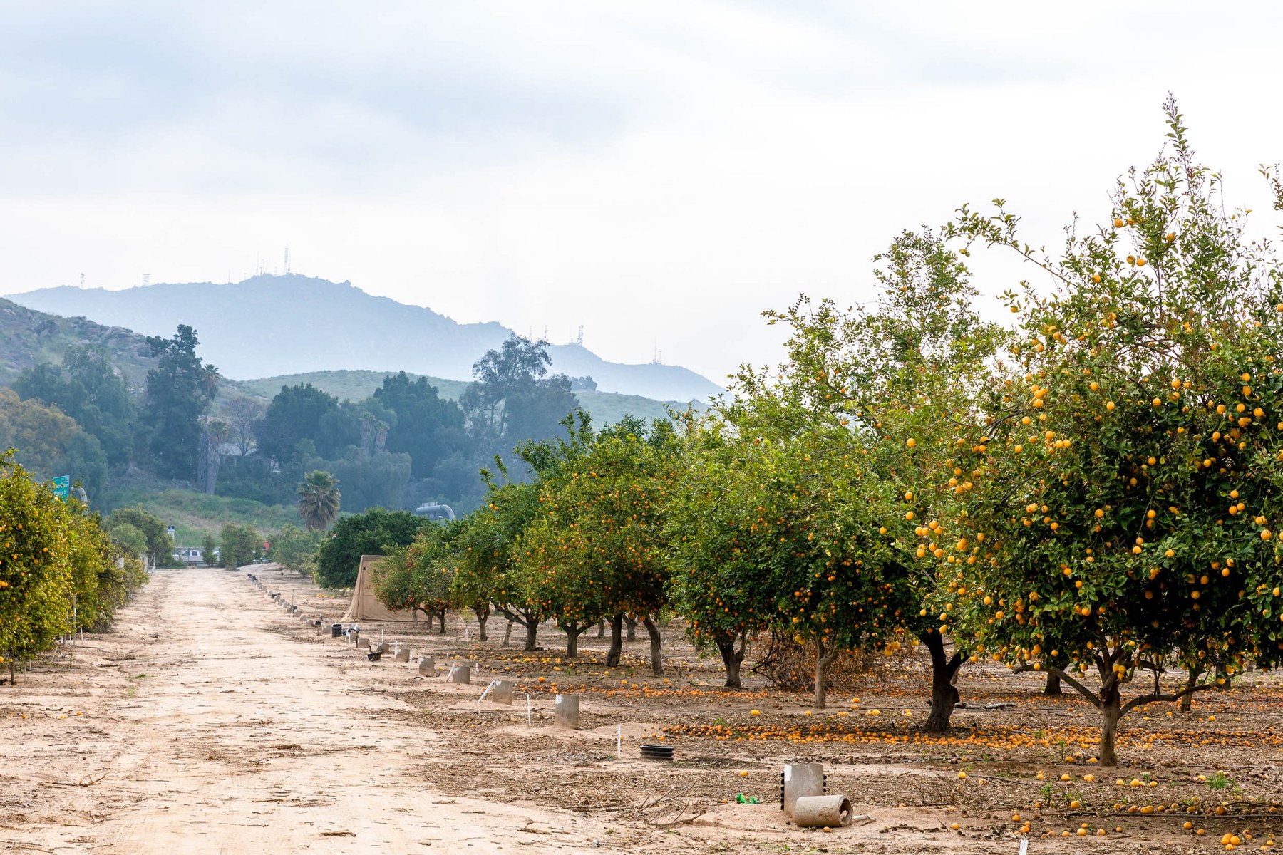 Canyon Crest, Riverside CA Neighborhood Guide Trulia