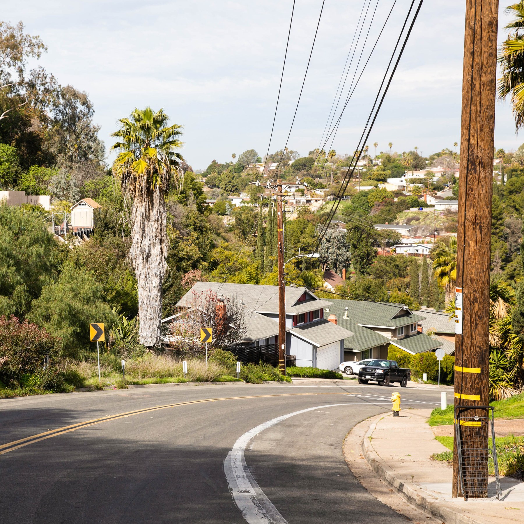 College essay help san diego