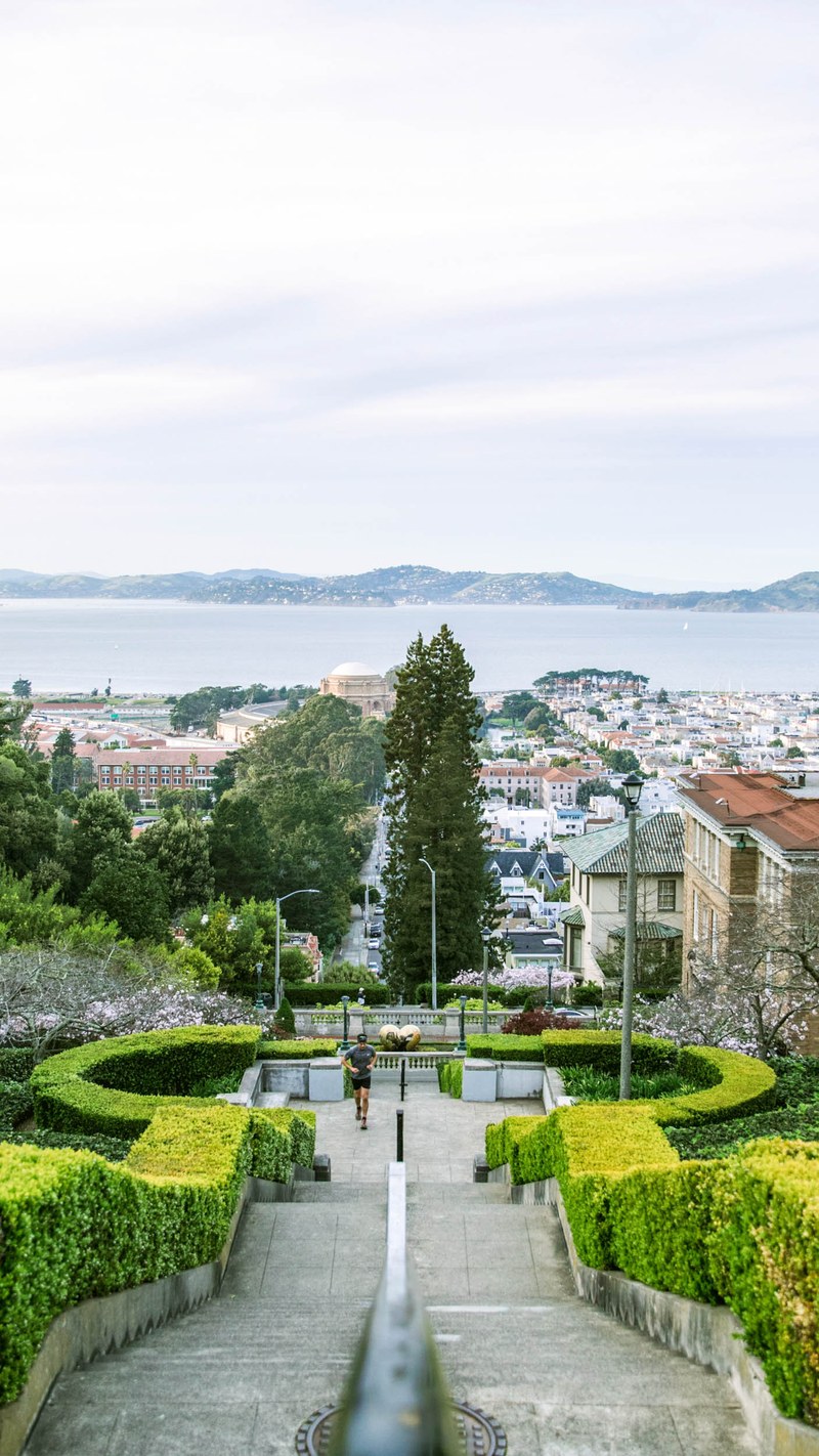 pacific landscaping ca on Pacific Heights Neighborhood Guide San Francisco Ca Trulia