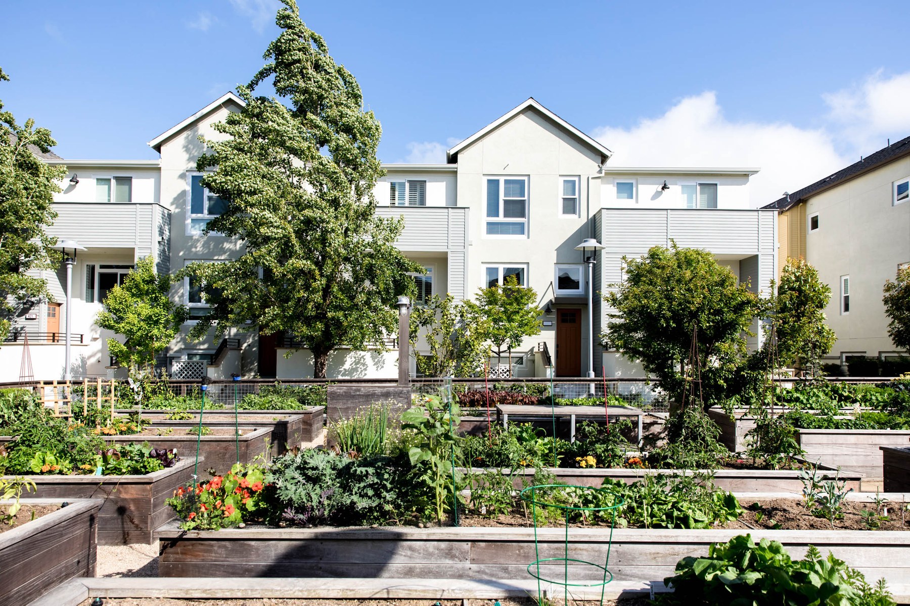Bay Meadows, San Mateo CA Neighborhood Guide Trulia