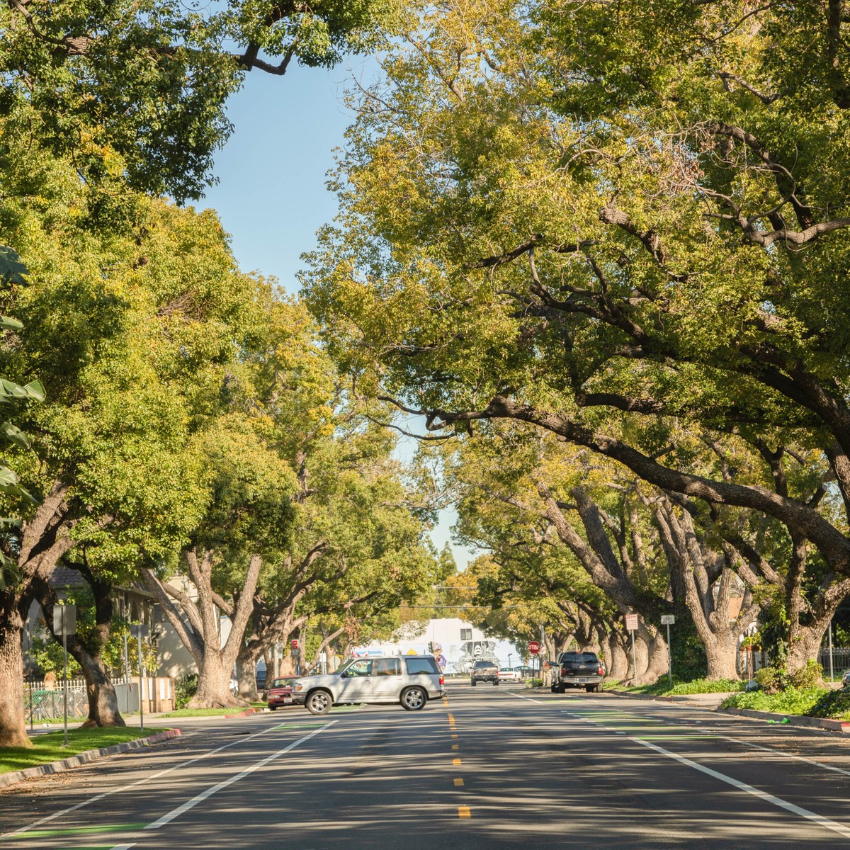 Eastside Santa Ana Ca Neighborhood Guide Trulia