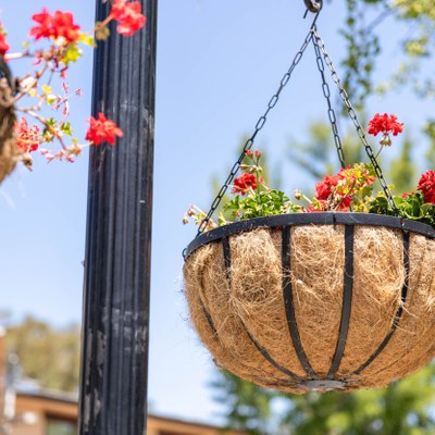 Congress Springs Saratoga Ca Neighborhood Guide Trulia