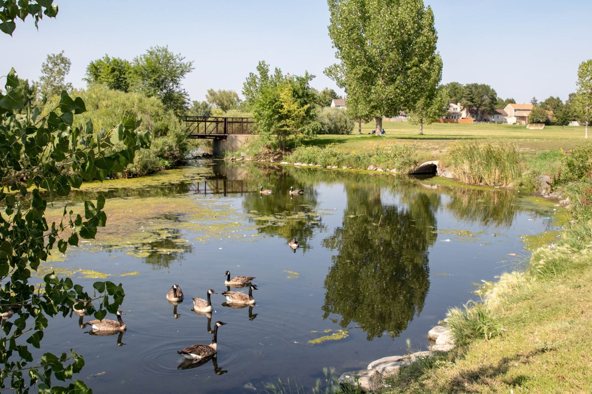 Expo Park, Aurora CO Neighborhood Guide Trulia