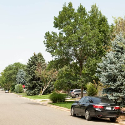 Hilltop, Denver CO Neighborhood Guide Trulia
