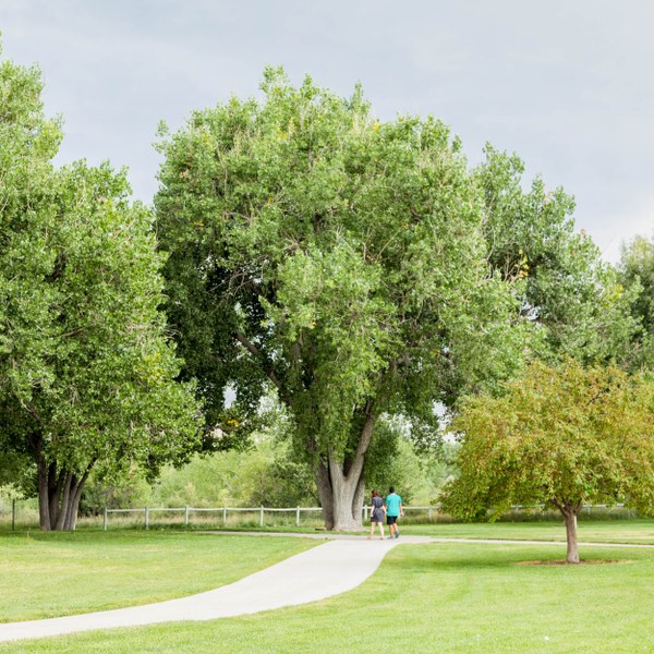 Cottonwood, Parker CO Neighborhood Guide Trulia