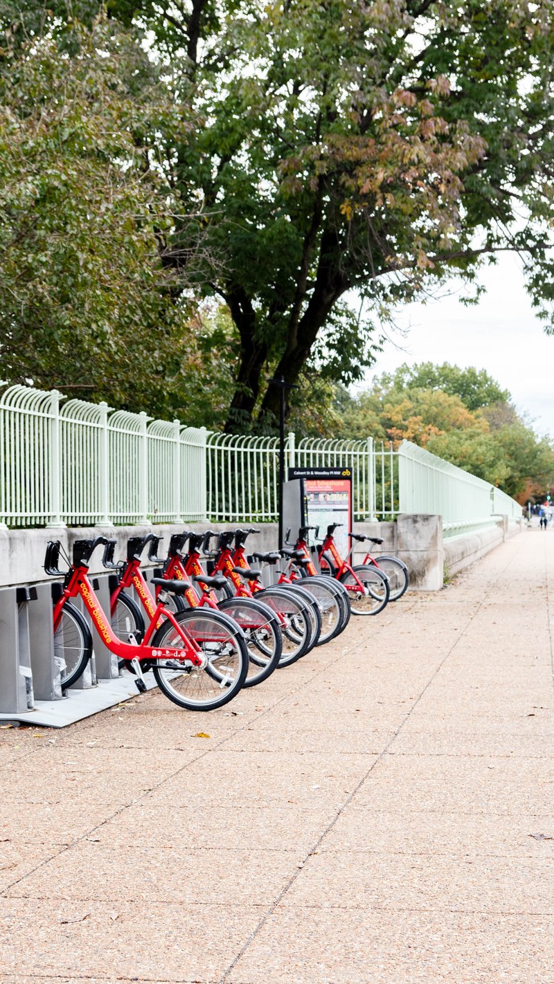 Adams Morgan Neighborhood Guide Washington Dc Trulia