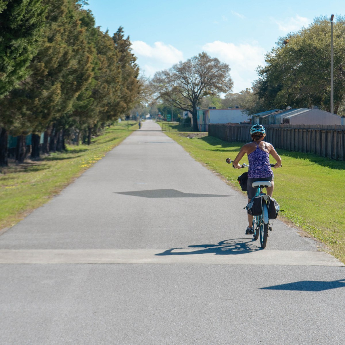 Childs Park, Saint Petersburg FL Neighborhood Guide Trulia