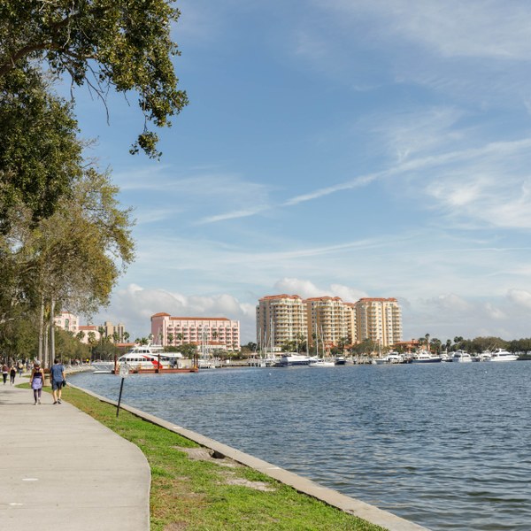 Downtown, Saint Petersburg FL Neighborhood Guide Trulia