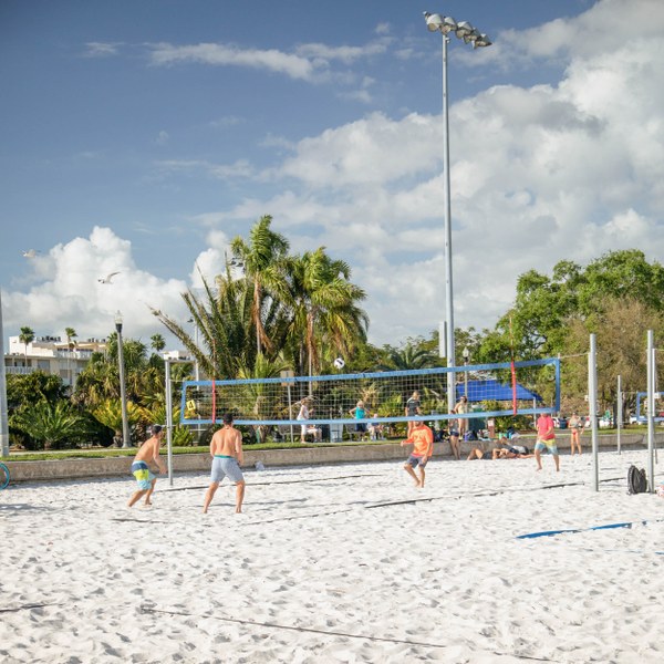 Historic Old Northeast, Saint Petersburg FL Neighborhood Guide Trulia