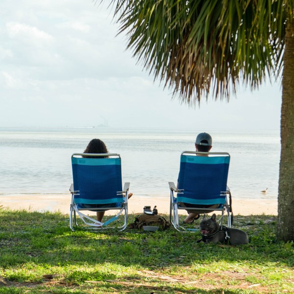 Old Southeast, Saint Petersburg FL Neighborhood Guide Trulia