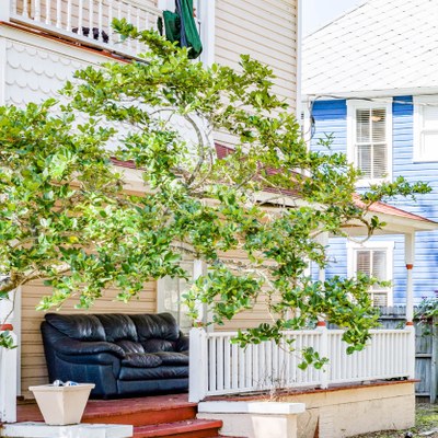 North Hyde Park Tampa Fl Neighborhood Guide Trulia