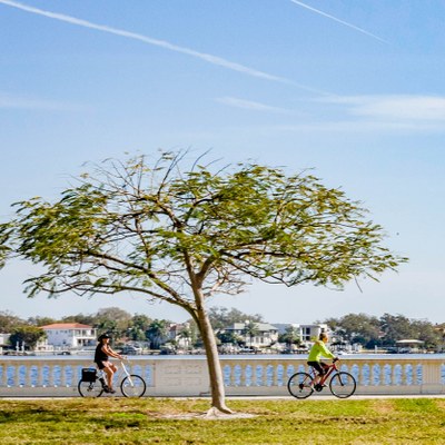 North Hyde Park Tampa Fl Neighborhood Guide Trulia