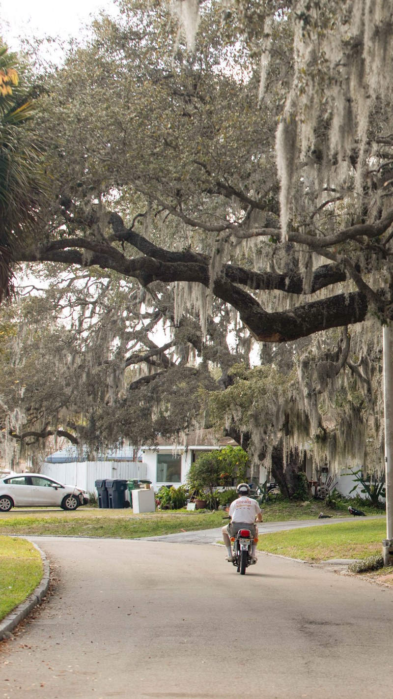 Old Seminole Heights Neighborhood Guide Tampa Fl Trulia