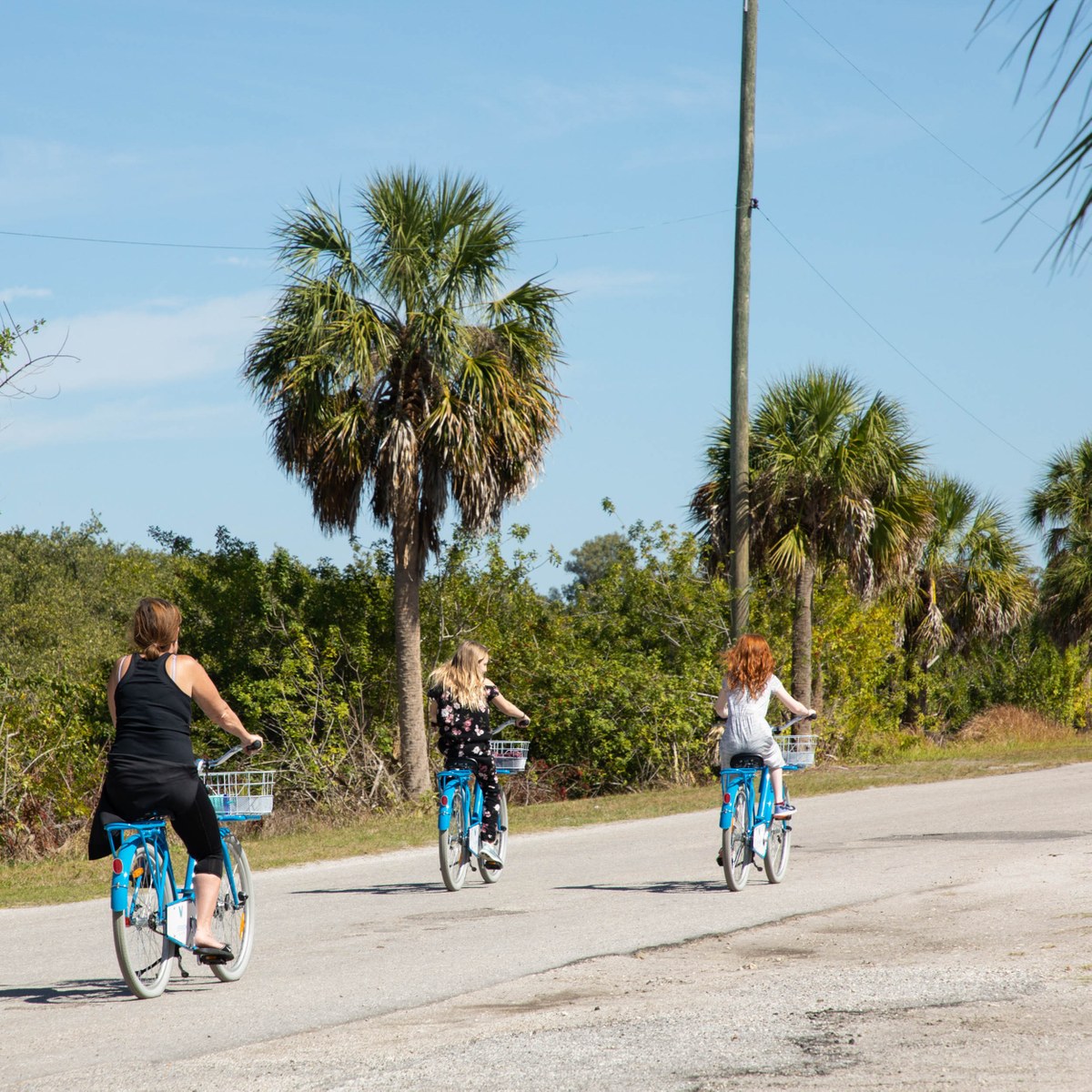 Port Tampa City Tampa Fl Neighborhood Guide Trulia
