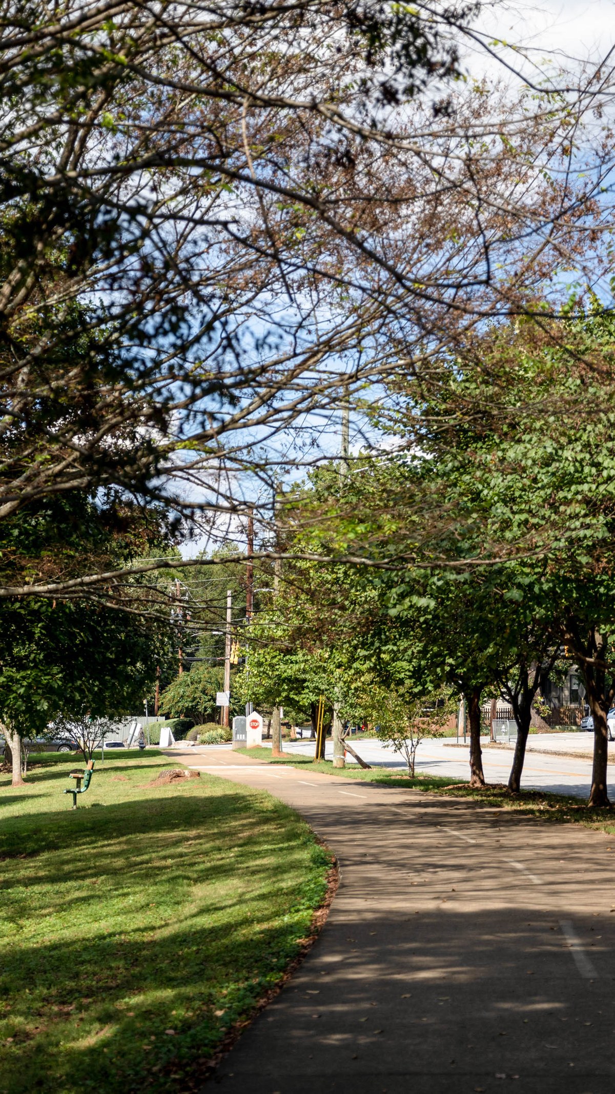 Aktiviti Bersenam Di Taman