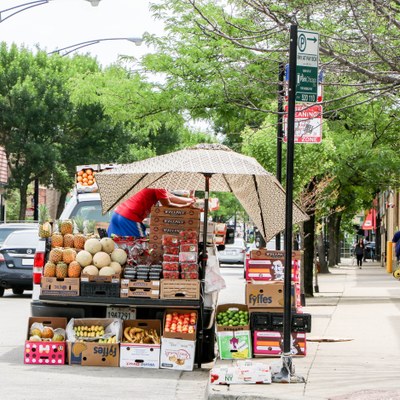 Albany Park, Chicago IL - Neighborhood Guide | Trulia