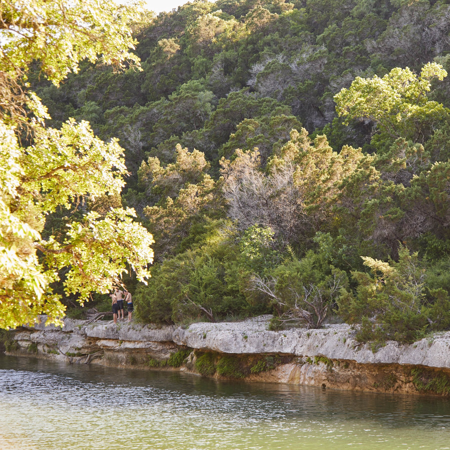 East Oak Hill, Austin TX Neighborhood Guide Trulia