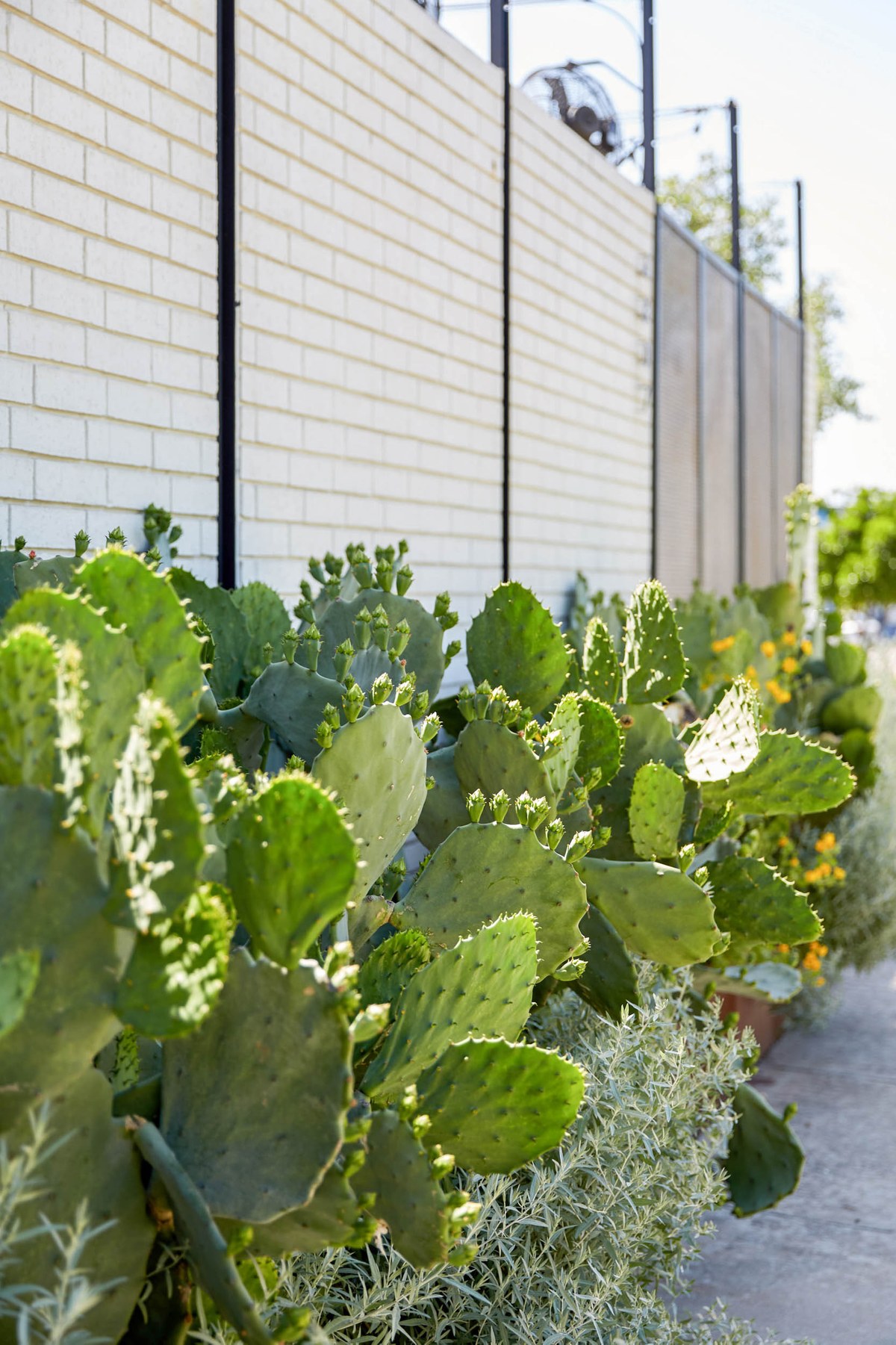 North Loop, Austin TX Neighborhood Guide Trulia