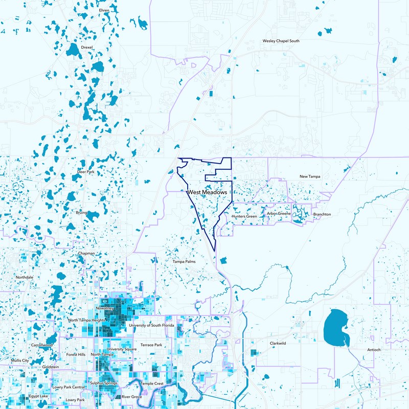 West Meadows, Tampa FL Neighborhood Guide Trulia